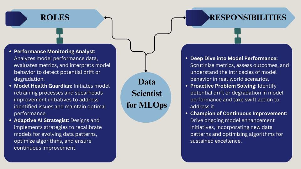 data scientist 