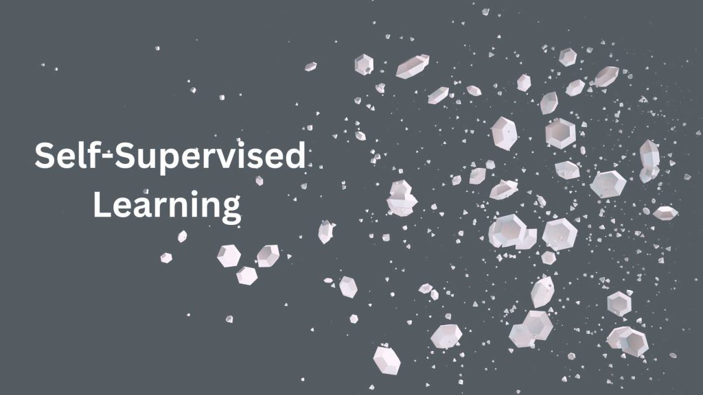 self-supervised learning